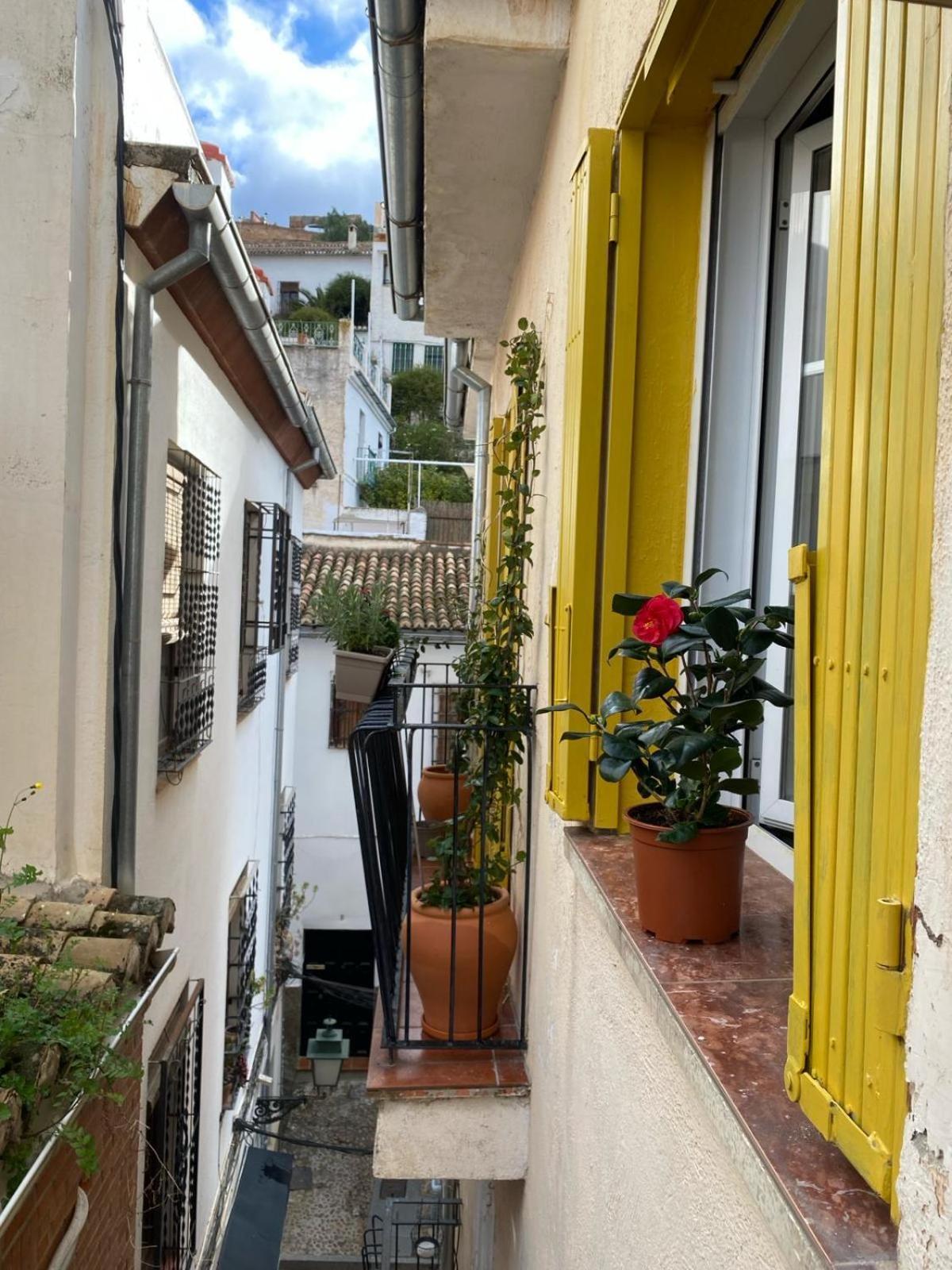 Apartamento Home Stagging New Life Granada Dış mekan fotoğraf